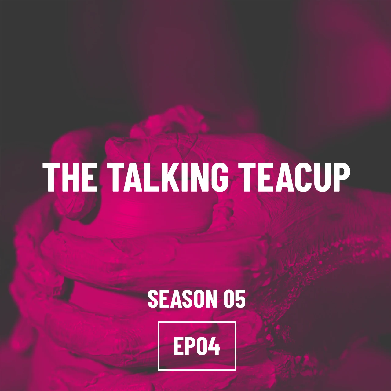 S05E04 - The Talking Teacup
